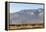 California, USA: A Huge Onshore Wind Farm Near Palm Springs / Desert Hot Springs-Axel Brunst-Framed Premier Image Canvas