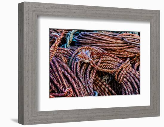 California, USA, Crescent City, Crescent City Marina-Joe Restuccia III-Framed Photographic Print