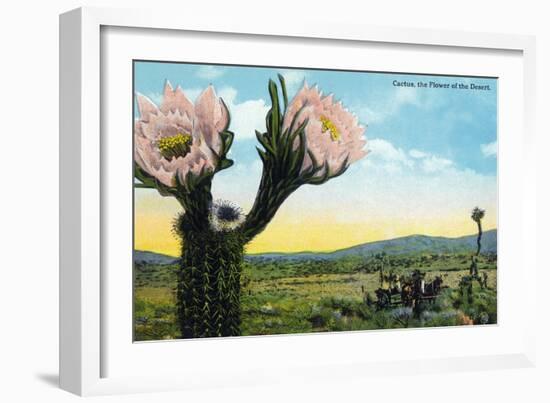 California - View of a Flowering Cactus-Lantern Press-Framed Art Print