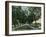 California - View of Pepper Trees Along Road-Lantern Press-Framed Art Print