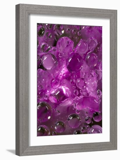 California. Water Droplets on a Spider Web-Jaynes Gallery-Framed Photographic Print