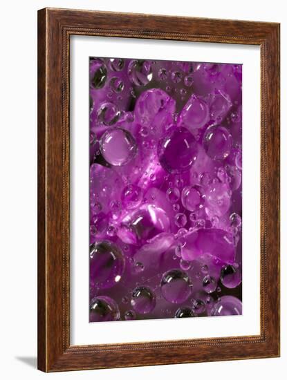 California. Water Droplets on a Spider Web-Jaynes Gallery-Framed Photographic Print