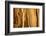 California, White Mountains. Patterns in Bristlecone Pine Wood-Don Paulson-Framed Photographic Print