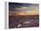 California, Wildflowers on the Dumont Dunes in the Mojave Desert-Christopher Talbot Frank-Framed Premier Image Canvas