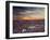 California, Wildflowers on the Dumont Dunes in the Mojave Desert-Christopher Talbot Frank-Framed Photographic Print