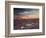 California, Wildflowers on the Dumont Dunes in the Mojave Desert-Christopher Talbot Frank-Framed Photographic Print