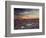 California, Wildflowers on the Dumont Dunes in the Mojave Desert-Christopher Talbot Frank-Framed Photographic Print