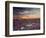 California, Wildflowers on the Dumont Dunes in the Mojave Desert-Christopher Talbot Frank-Framed Photographic Print