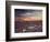 California, Wildflowers on the Dumont Dunes in the Mojave Desert-Christopher Talbot Frank-Framed Photographic Print