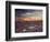 California, Wildflowers on the Dumont Dunes in the Mojave Desert-Christopher Talbot Frank-Framed Photographic Print