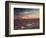 California, Wildflowers on the Dumont Dunes in the Mojave Desert-Christopher Talbot Frank-Framed Photographic Print