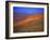 California Wildflowers-Jody Miller-Framed Photographic Print