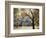 California, Yosemite National Park, California Black Oak Trees in a Meadow-Christopher Talbot Frank-Framed Photographic Print