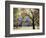 California, Yosemite National Park, California Black Oak Trees in a Meadow-Christopher Talbot Frank-Framed Photographic Print