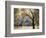 California, Yosemite National Park, California Black Oak Trees in a Meadow-Christopher Talbot Frank-Framed Photographic Print