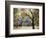 California, Yosemite National Park, California Black Oak Trees in a Meadow-Christopher Talbot Frank-Framed Photographic Print