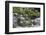 California. Yosemite National Park. Dogwood Along the Merced River, Yosemite National Park-Judith Zimmerman-Framed Photographic Print