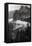 California. Yosemite National Park-Judith Zimmerman-Framed Premier Image Canvas