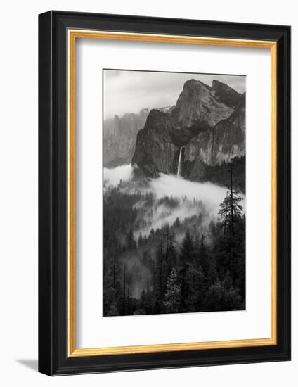 California. Yosemite National Park-Judith Zimmerman-Framed Photographic Print