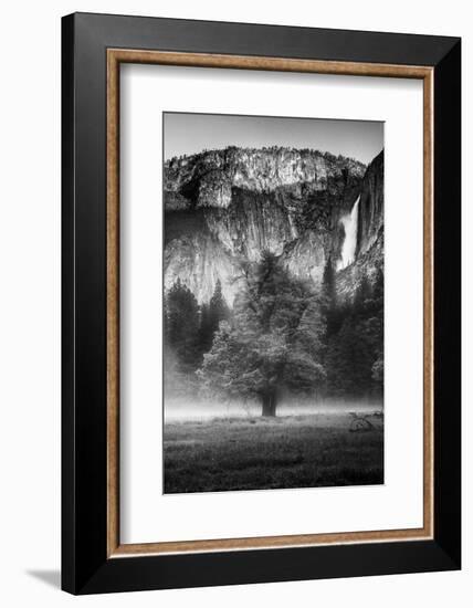 California. Yosemite National Park-Judith Zimmerman-Framed Photographic Print