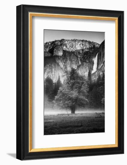 California. Yosemite National Park-Judith Zimmerman-Framed Photographic Print