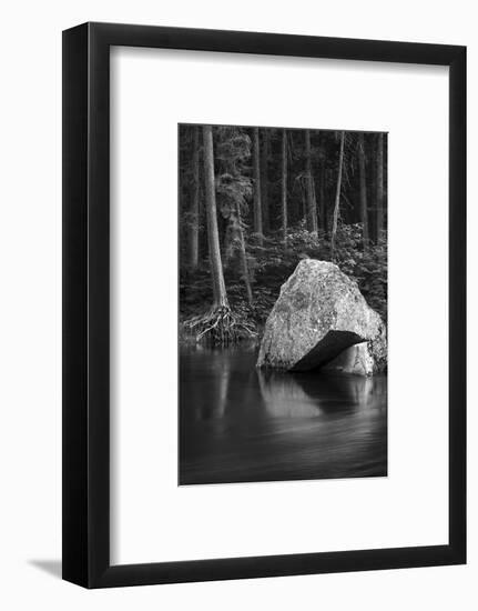 California. Yosemite National Park-Judith Zimmerman-Framed Photographic Print