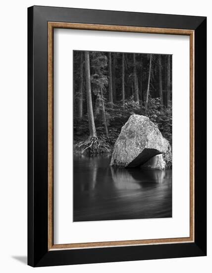 California. Yosemite National Park-Judith Zimmerman-Framed Photographic Print