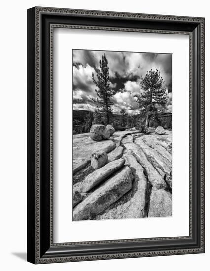 California, Yosemite National Park-Judith Zimmerman-Framed Photographic Print