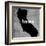 California -Luke Wilson-Framed Art Print