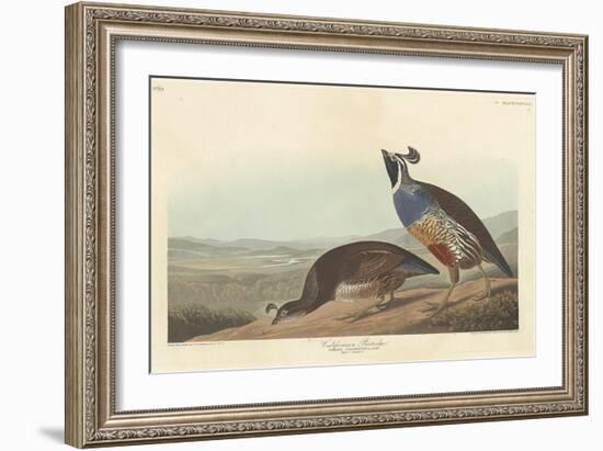 Californian Partridge, 1838-John James Audubon-Framed Giclee Print