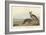 Californian Partridge, 1838-John James Audubon-Framed Giclee Print