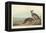 Californian Partridge, 1838-John James Audubon-Framed Premier Image Canvas