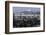 Californian Sealions (Zalophus Californianus) with Alcatraz in Background-Suzi Eszterhas-Framed Photographic Print