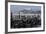 Californian Sealions (Zalophus Californianus) with Alcatraz in Background-Suzi Eszterhas-Framed Photographic Print