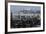 Californian Sealions (Zalophus Californianus) with Alcatraz in Background-Suzi Eszterhas-Framed Photographic Print