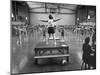 Calisthenics in the Davenport High School Gym-Yale Joel-Mounted Photographic Print