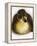 Call Duck Duckling-Martin Harvey-Framed Premier Image Canvas