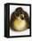 Call Duck Duckling-Martin Harvey-Framed Premier Image Canvas