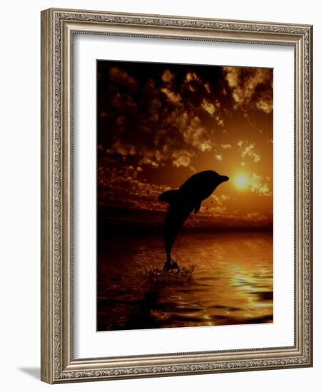 Call of the Sea-Julie Fain-Framed Art Print