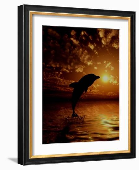 Call of the Sea-Julie Fain-Framed Art Print