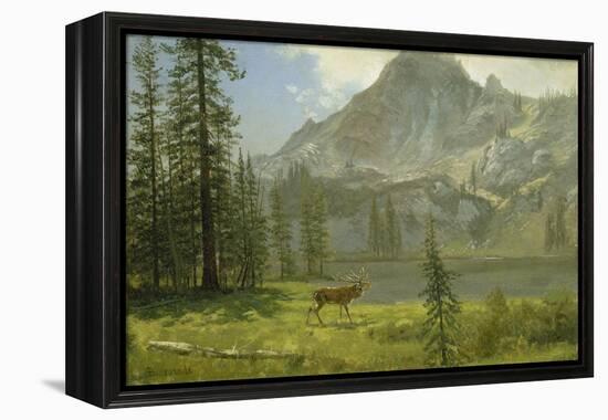 Call of the Wild-Albert Bierstadt-Framed Premier Image Canvas