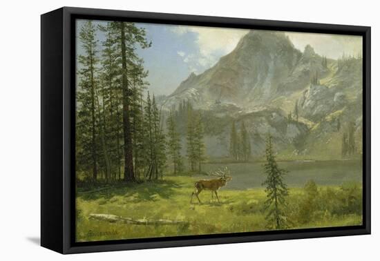 Call of the Wild-Albert Bierstadt-Framed Premier Image Canvas