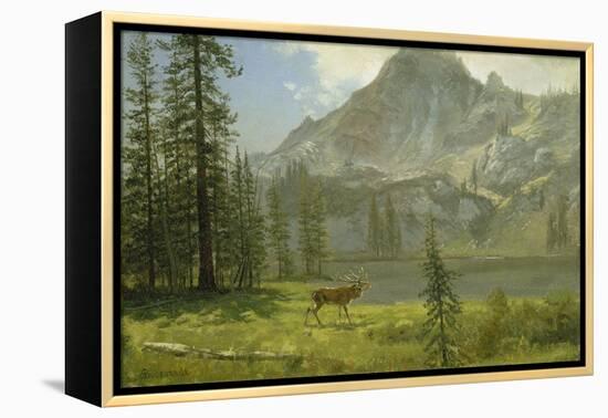 Call of the Wild-Albert Bierstadt-Framed Premier Image Canvas