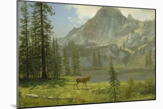 Call of the Wild-Albert Bierstadt-Mounted Giclee Print