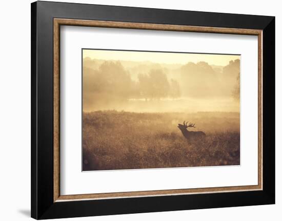 Call-Mark Bridger-Framed Art Print