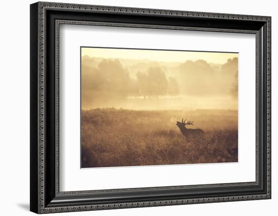 Call-Mark Bridger-Framed Art Print