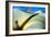 Calla Aethiopica Detail-jefras-Framed Photographic Print