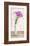 Calla Arrangemet-Shin Mills-Framed Art Print