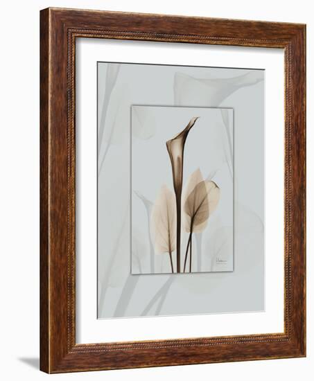 Calla Blue Brown 2-Albert Koetsier-Framed Art Print