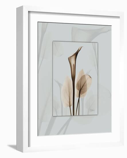 Calla Blue Brown 2-Albert Koetsier-Framed Art Print